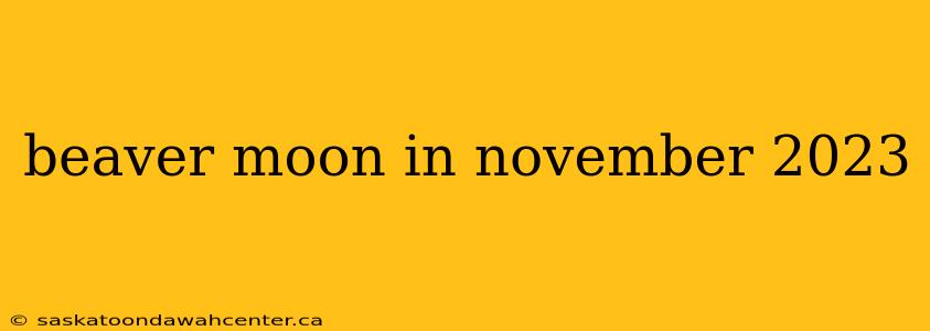 beaver moon in november 2023