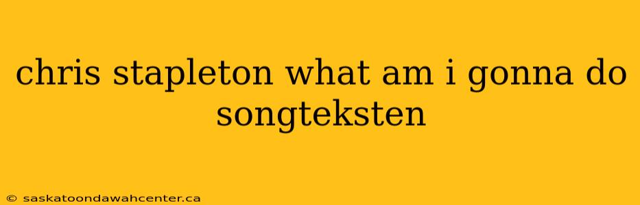 chris stapleton what am i gonna do songteksten