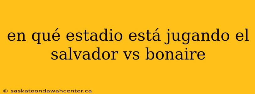 en qué estadio está jugando el salvador vs bonaire