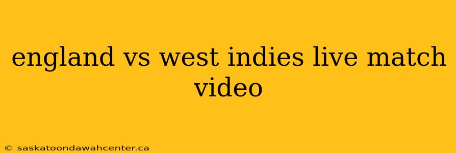 england vs west indies live match video