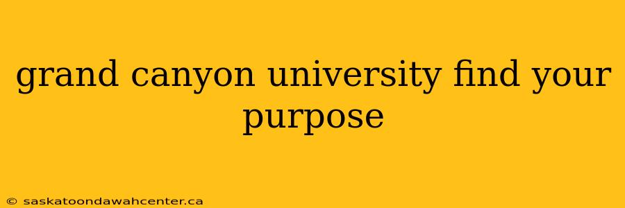 grand canyon university find your purpose