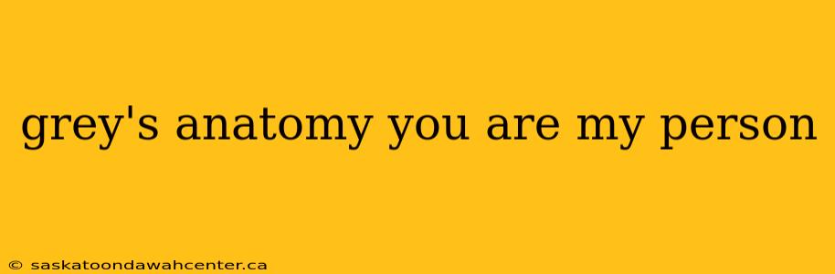 grey's anatomy you are my person