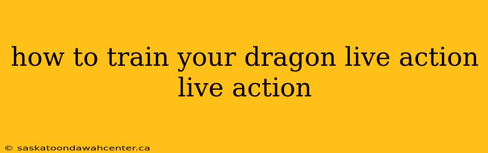 how to train your dragon live action live action