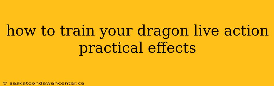 how to train your dragon live action practical effects