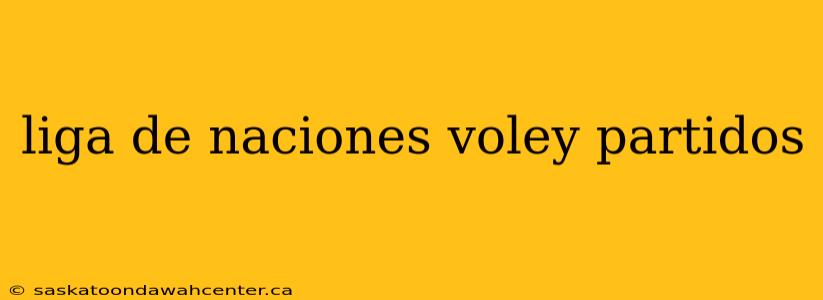 liga de naciones voley partidos