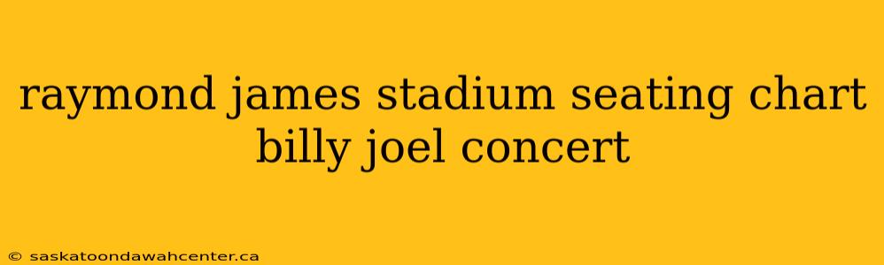 raymond james stadium seating chart billy joel concert