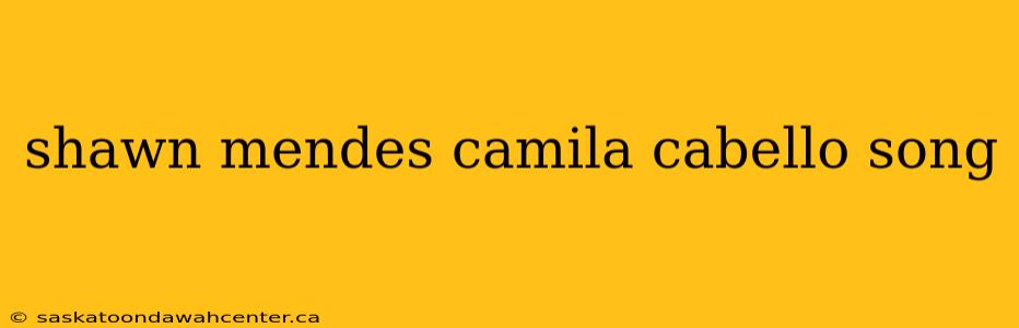 shawn mendes camila cabello song