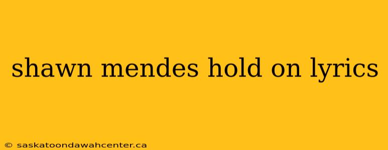 shawn mendes hold on lyrics