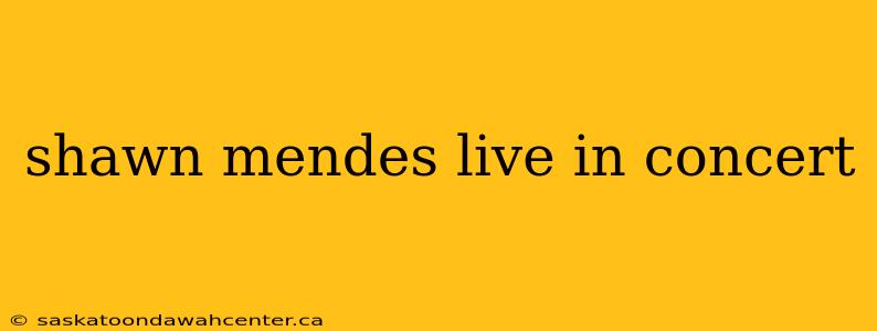 shawn mendes live in concert