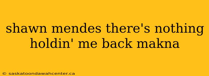 shawn mendes there's nothing holdin' me back makna