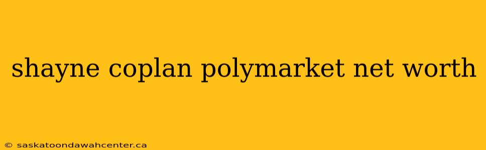 shayne coplan polymarket net worth