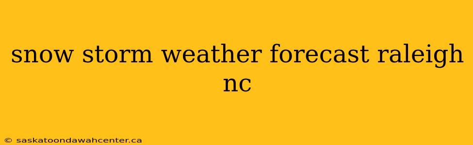 snow storm weather forecast raleigh nc