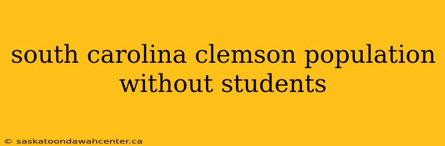 south carolina clemson population without students