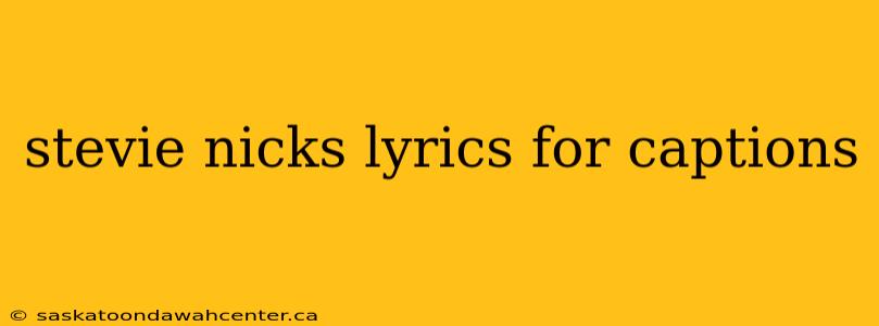 stevie nicks lyrics for captions