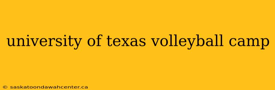 university of texas volleyball camp