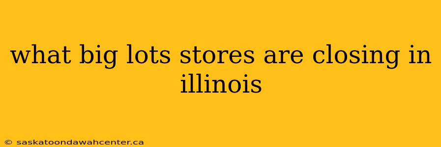 what big lots stores are closing in illinois