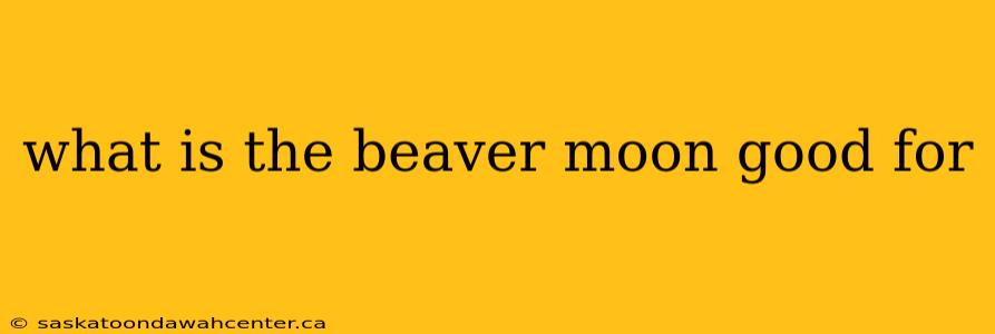 what is the beaver moon good for