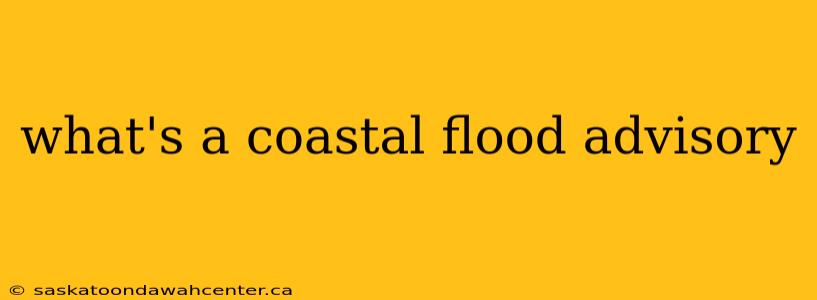 what's a coastal flood advisory