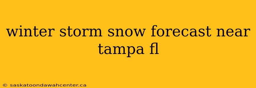 winter storm snow forecast near tampa fl