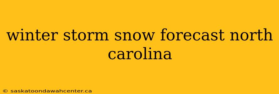 winter storm snow forecast north carolina